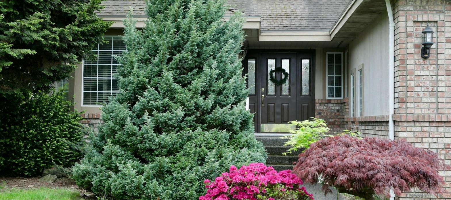 Front entrance with new steps and plantings